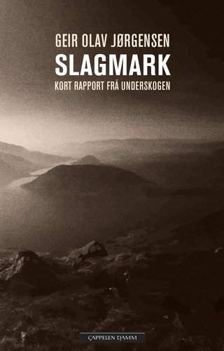 Slagmark - kort rapport frå underskogen