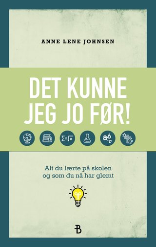 Det kunne jeg jo før! - alt du lærte på skolen og som du nå har glemt