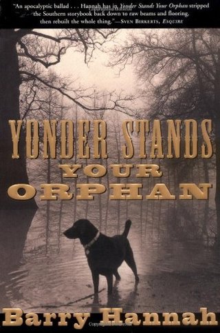 "Yonder Stands Your Orphan" av Barry Hannah