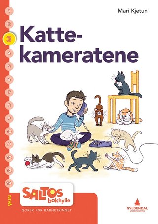 Kattekameratane - nivå 3-4