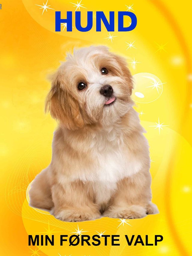 "Hund - min første valp" av Tania Cheslaw