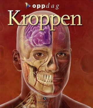 Kroppen