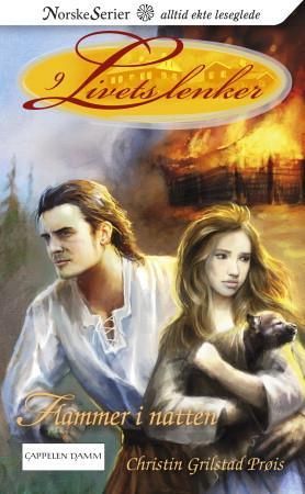 "Flammer i natten" av Christin Grilstad Prøis