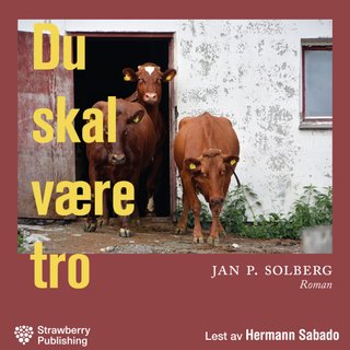 "Du skal være tro roman" av Jan P. Solberg