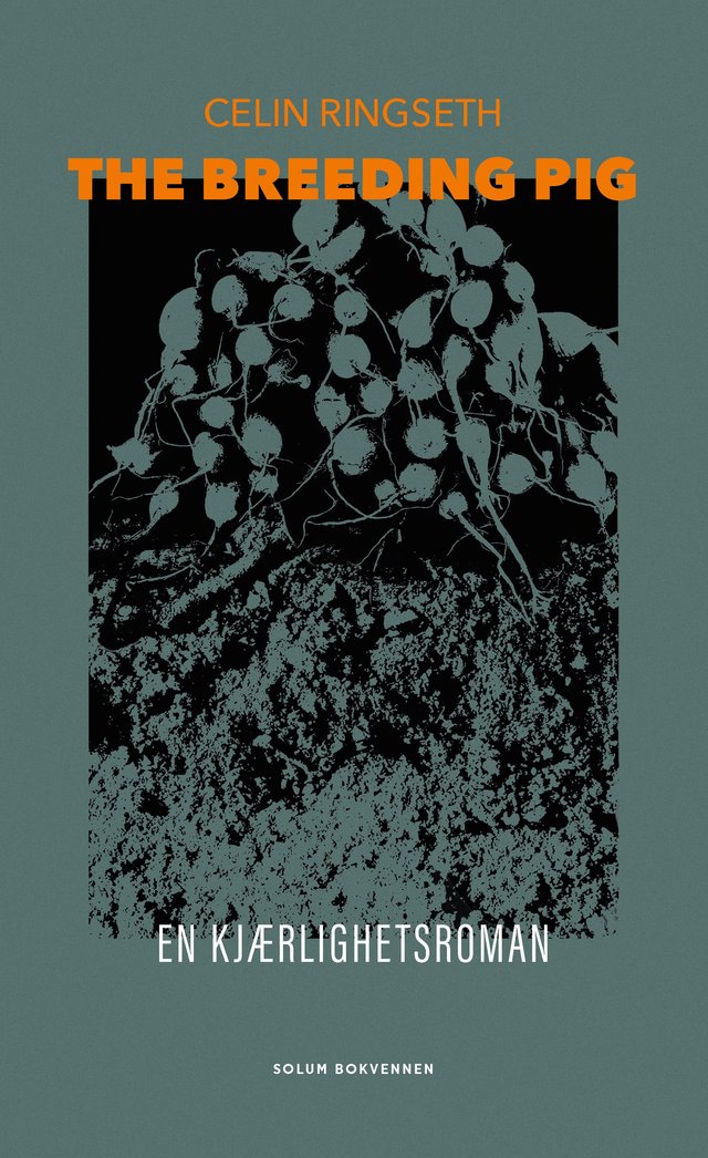 "The breeding pig - en kjærlighetsroman" av Celin Ringseth