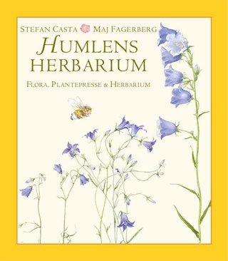 Humlens herbarium - flora, plantepresse & herbarium