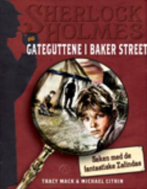 "Saken med de fantastiske Zalindas" av Tracy Mack