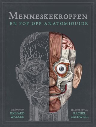 "Menneskekroppen - et pop-opp-atlas over menneskekroppen" av Richard Walker