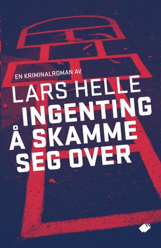 Ingenting å skamme seg over - roman