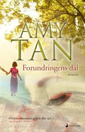 Forundringens dal - roman