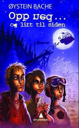 "Opp ned - og litt til siden" av Øystein Bache