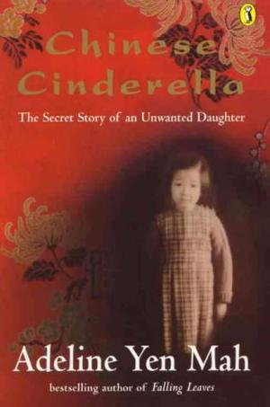 Chinese Cinderella - The Secret Story of an Unwanted Daughter (Puffin Teenage Books)