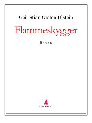 Flammeskygger - roman