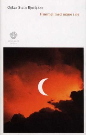 Himmel med måne i ne - roman
