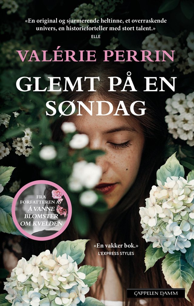"Glemt på en søndag" av Valérie Perrin