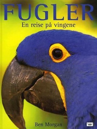 Fugler - en reise på vingene