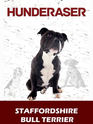 Staffordshire bull terrier