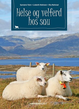 "Helse og velferd hos sau" av Synnøve Vatn