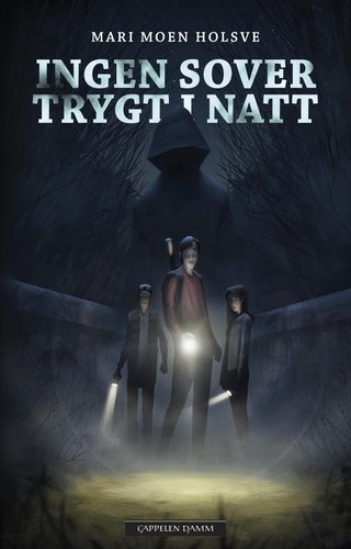 "Ingen sover trygt i natt" av Mari Moen Holsve