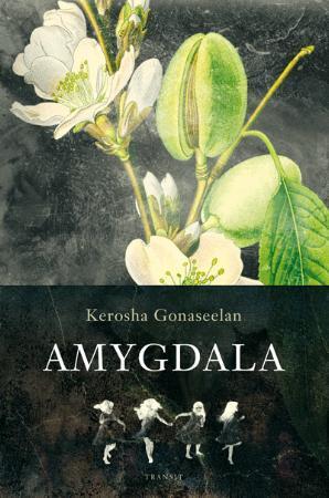 "Amygdala - roman" av Kerosha Gonaseelan