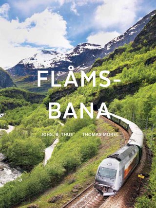 "Flåmsbana" av Johs. B. Thue