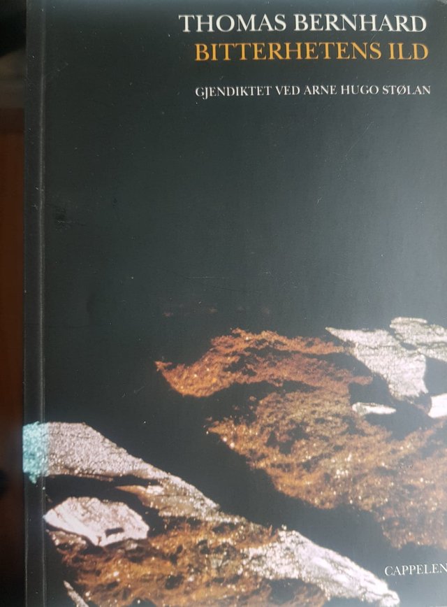 "Bitterhetens ild" av Thomas Bernhard