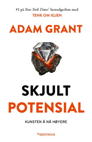 Ditt skjulte potensial - kunsten å få til det utrolige