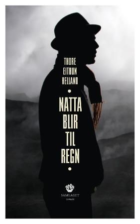 Natta blir til regn - roman