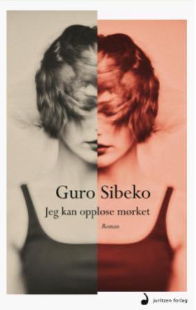 "Jeg kan oppløse mørket - roman" av Guro Sibeko