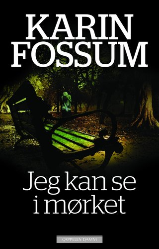 "Jeg kan se i mørket roman" av Karin Fossum
