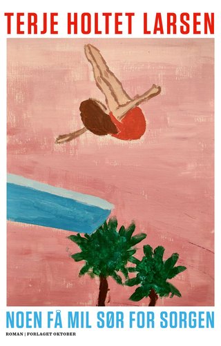 Noen få mil sør for sorgen - roman