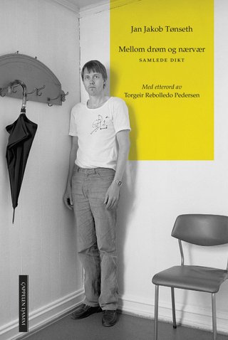 Mellom drøm og nærvær - samlede dikt