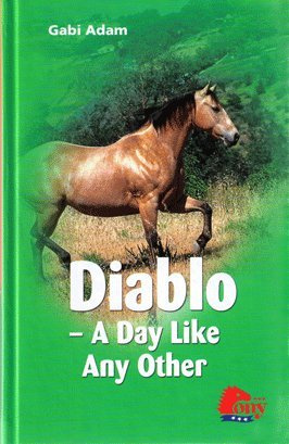 "Diablo A Day Like Any Other" av Gabi Adam