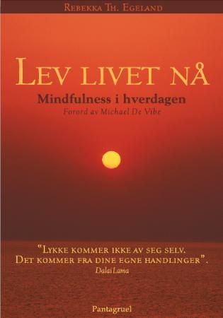 Lev livet nå - mindfulness i hverdagen