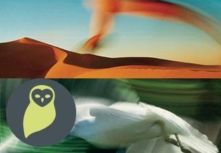 "Ergo" av Cathrine Wahlstrøm Tellefsen