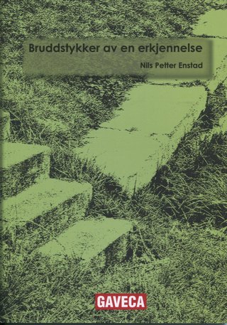 Bruddstykker av en erkjennelse - essays om livet, døden og evigheten