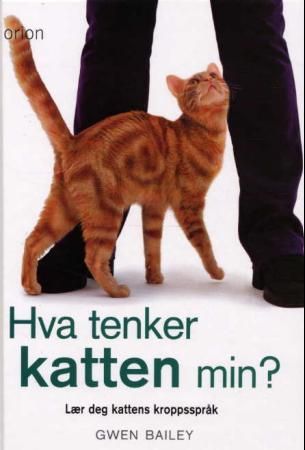 Hva tenker katten min? - lær deg kattens kroppsspråk