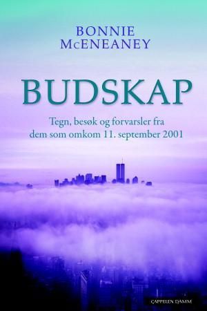 Budskap - tegn, besøk og forvarsler fra dem som omkom 11. september 2001
