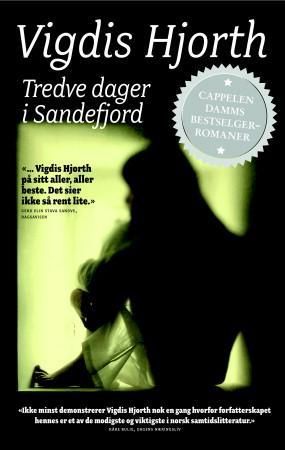 Tredve dager i Sandefjord - roman