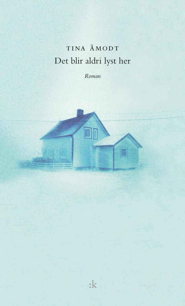 "Det blir aldri lyst her - roman" av Tina Åmodt