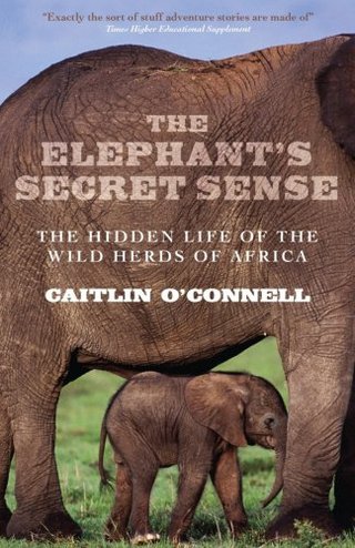 "The Elephant's Secret Sense The Hidden Life of the Wild Herds of Africa" av Caitlin O'Connell