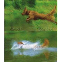 "Beautiful Evidence" av Edward R. Tufte