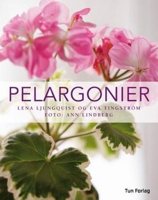"Pelargonier" av Lena Ljungquist