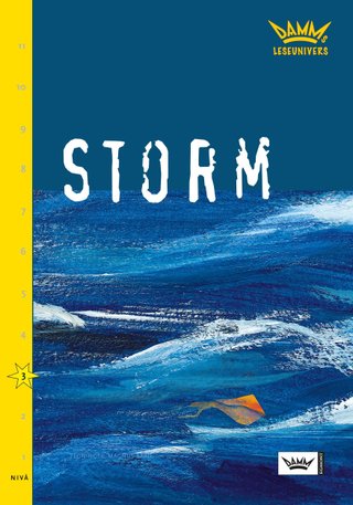 Storm - nivå 3
