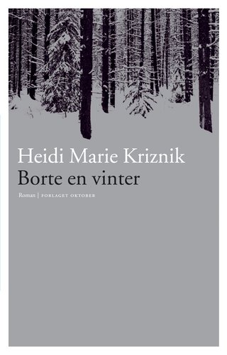 Borte en vinter - roman