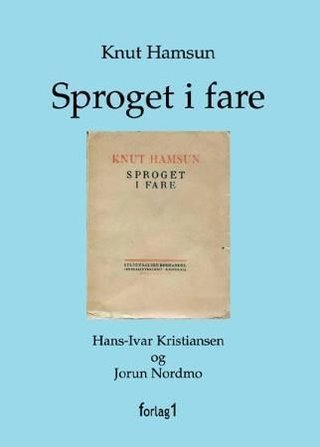 Sproget i fare (1918) - språk, retorikk og diktning