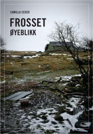 "Frosset øyeblikk" av Camilla Ceder