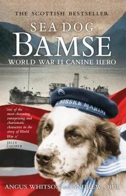 Sea dog Bamse - world war II canine hero