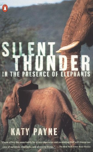 Silent Thunder - In the Presence of Elephants