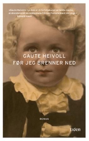 Før jeg brenner ned - roman